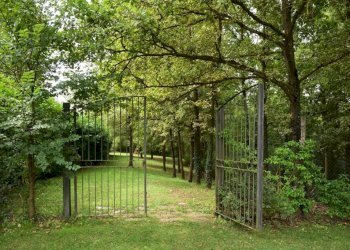 Giardino - Rustico Rocchetta Tanaro - foto 33