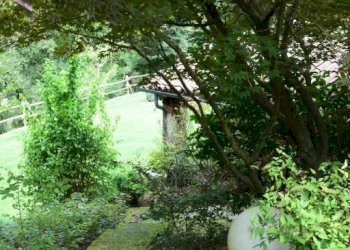 Giardino - Rustico Rocchetta Tanaro - foto 34