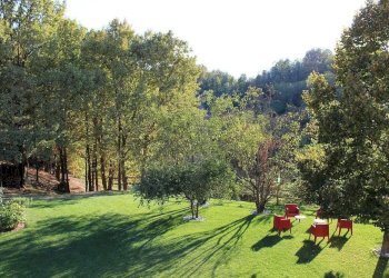 Giardino - Rustico Rocchetta Tanaro - foto 6