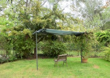 Giardino - Rustico Rocchetta Tanaro - foto 36