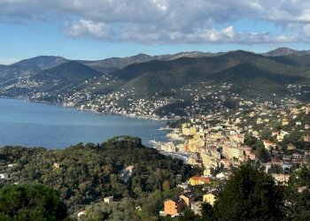 Vista - Appartamento via Saccomanno, Camogli - foto 2