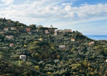 Vista - Appartamento via Saccomanno, Camogli - foto 21