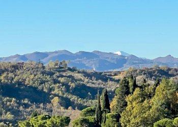 Vista - Villa Bologna (zona Colli) - foto 15