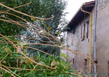 Foto 6 - Casa semi indipendente Torgiano - foto 6