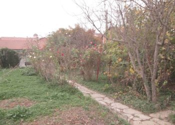 Terreno - Rustico via Giovanni Maria Palmero, 18, Moretta - foto 25