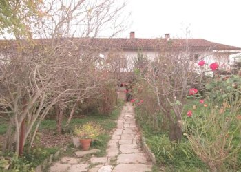 Giardino - Rustico via Giovanni Maria Palmero, 18, Moretta - foto 27