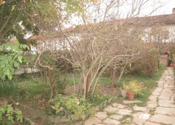 Giardino - Rustico via Giovanni Maria Palmero, 18, Moretta - foto 28