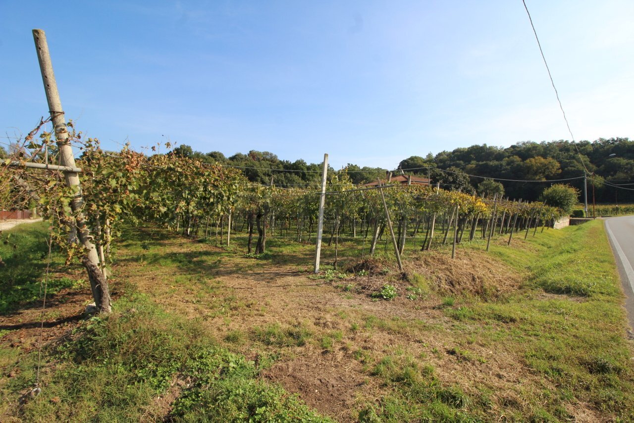 TERRENO - Terreno edificabile Via Calderina 8, Gambellara - foto 3