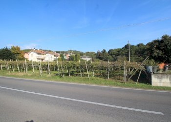 TERRENO - Terreno edificabile Via Calderina 8, Gambellara - foto 1