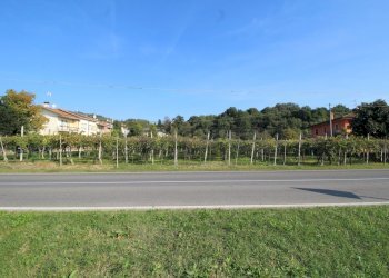 terreno - Terreno edificabile Via Calderina 8, Gambellara - foto 2