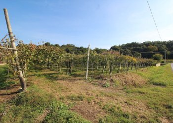 TERRENO - Terreno edificabile Via Calderina 8, Gambellara - foto 3