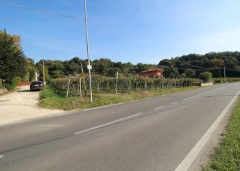 TERRENO - Terreno edificabile Via Calderina 8, Gambellara - foto 4