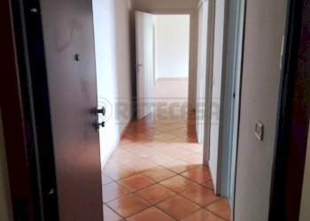 IMG-20251201-WA0004.jpg - Trilocale San Nicola la Strada - foto 4