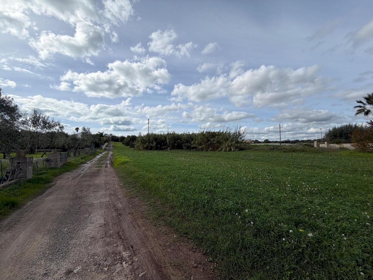 WhatsApp Image 2025-12-01 at 16.50.01 (1).jpeg - Terreno edificabile Via Giovanni Falcone, Pozzallo - foto 1