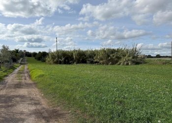 WhatsApp Image 2025-12-01 at 16.50.01 (3).jpeg - Terreno edificabile Via Giovanni Falcone, Pozzallo - foto 3