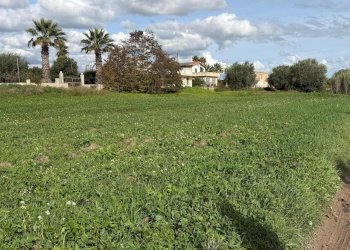 WhatsApp Image 2025-12-01 at 16.50.01 (4).jpeg - Terreno edificabile Via Giovanni Falcone, Pozzallo - foto 4