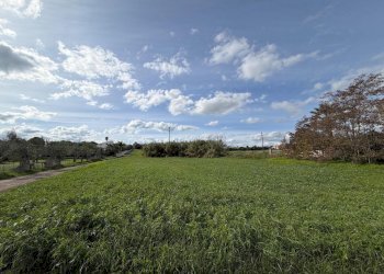 WhatsApp Image 2025-12-01 at 16.50.01 (7).jpeg - Terreno edificabile Via Giovanni Falcone, Pozzallo - foto 7