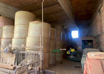 18.jpg - Casa indipendente Strada per Varano Marchesi 37, Medesano - foto 9