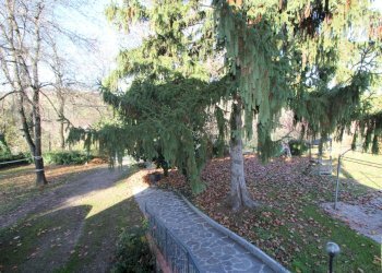 IMG_8580.JPG - Casa indipendente Via Sant'Andrea, Valsamoggia - foto 18