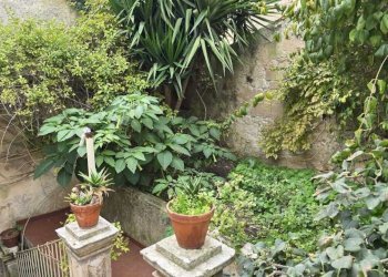 IMG-20251126-WA0045.jpg - Villa Via Guglielmo Messina 15, Palazzolo Acreide - foto 3