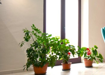 1.jpg - Casa indipendente San Fele - foto 4