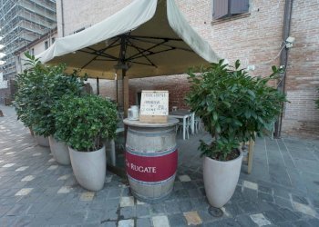 DSC01311.jpg - Bar Tavola Calda - Fredda Via Cesare Battisti 23, Santarcangelo di Romagna - foto 6