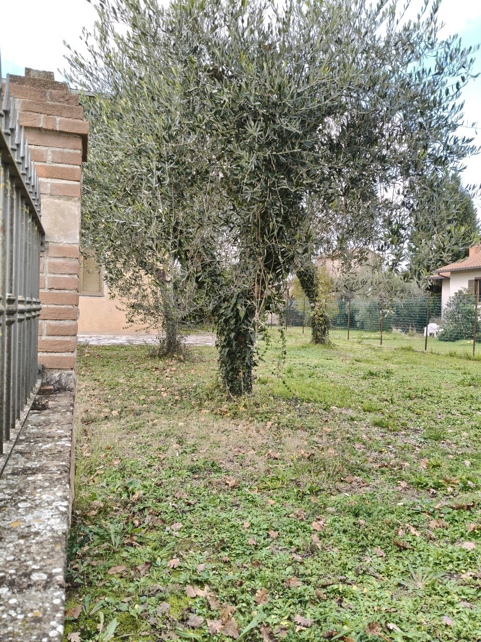 IMG20251121122156.jpg - Casa indipendente Strada Pian dell'Ara 88, Avigliano Umbro - foto 3