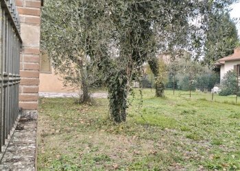 IMG20251121122156.jpg - Independent house Strada Pian dell'Ara 88, Avigliano Umbro - photo 3