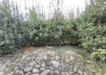 IMG20251121120105.jpg - Independent house Strada Pian dell'Ara 88, Avigliano Umbro - photo 29