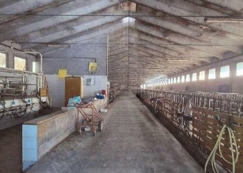 7.jpg - Villa all'asta Strada Bellini 1, Cairo Montenotte - foto 6