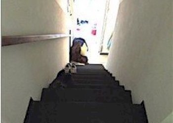 10.jpg - Porzione di casa all'asta Via Craì 12, Uscio - foto 8