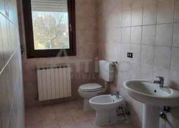 50.jpg - Casa indipendente Via II Giugno 18, Boara Pisani - foto 20