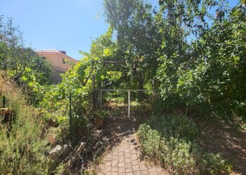 20230903_121623.jpg - Casa indipendente Via Giotto 22, Acri - foto 11