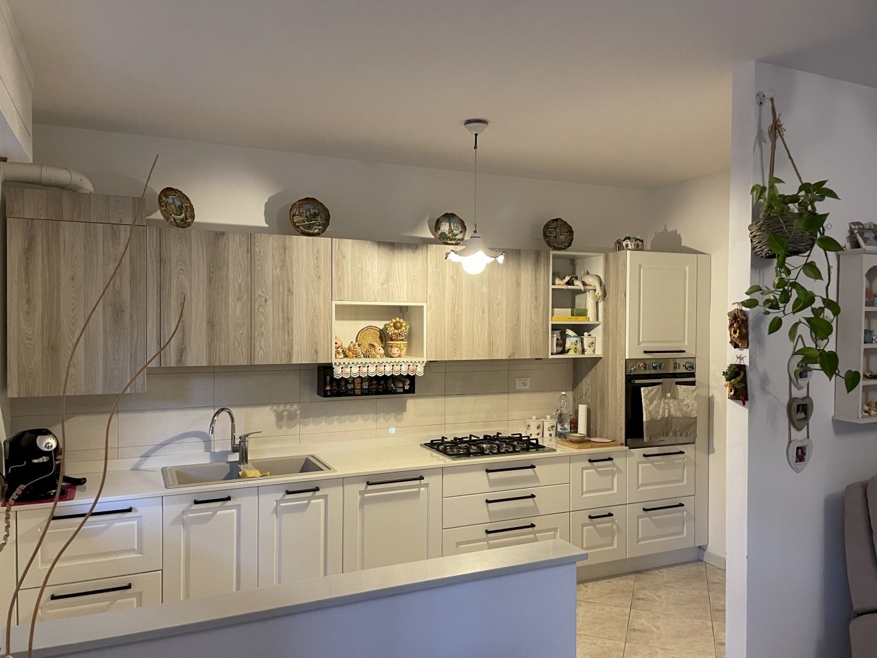 IMG_6060.jpg - Appartamento Via Pasubio 33, Cecina - foto 1