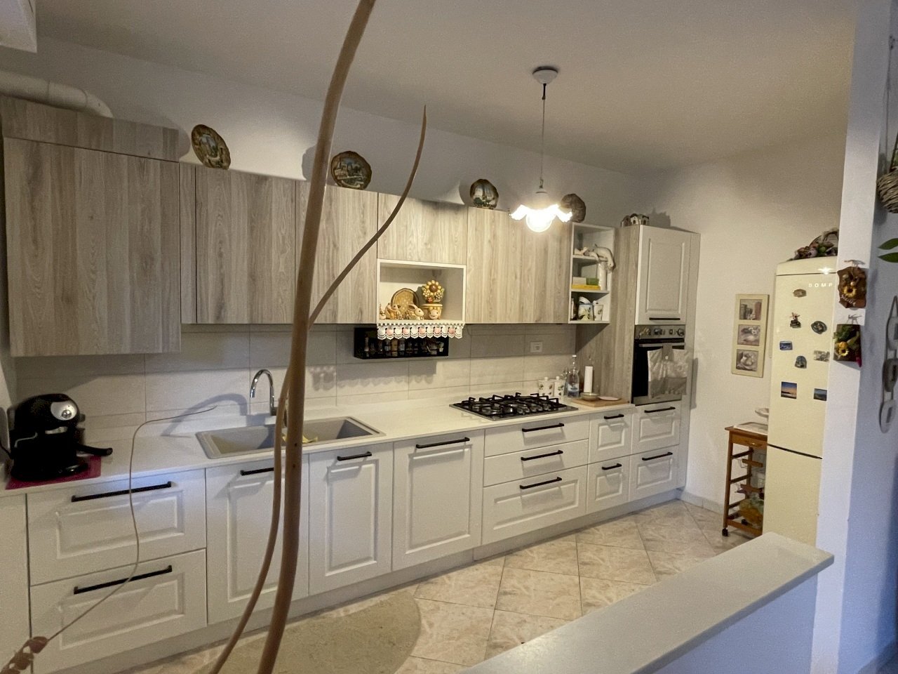 IMG_6063.jpg - Appartamento Via Pasubio 33, Cecina - foto 3