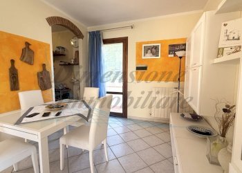 photo_21_2025-11-27_17-18-15.jpg - Terratetto - Terracielo Via di montenero, Rosignano Marittimo - foto 8