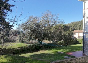 photo_5_2025-12-27_21-52-13.jpg - Terratetto - Terracielo Via di montenero, Rosignano Marittimo - foto 29