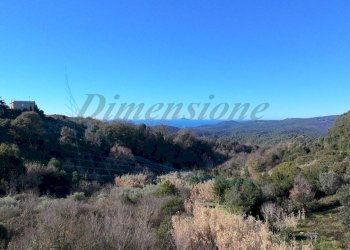 photo_6_2025-12-27_21-52-13.jpg - Terratetto - Terracielo Via di montenero, Rosignano Marittimo - foto 30