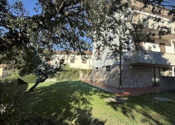 photo_10_2025-12-27_21-52-13.jpg - Terratetto - Terracielo Via di montenero, Rosignano Marittimo - foto 3