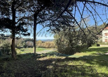 photo_12_2025-12-27_21-52-13.jpg - Terratetto - Terracielo Via di montenero, Rosignano Marittimo - foto 6