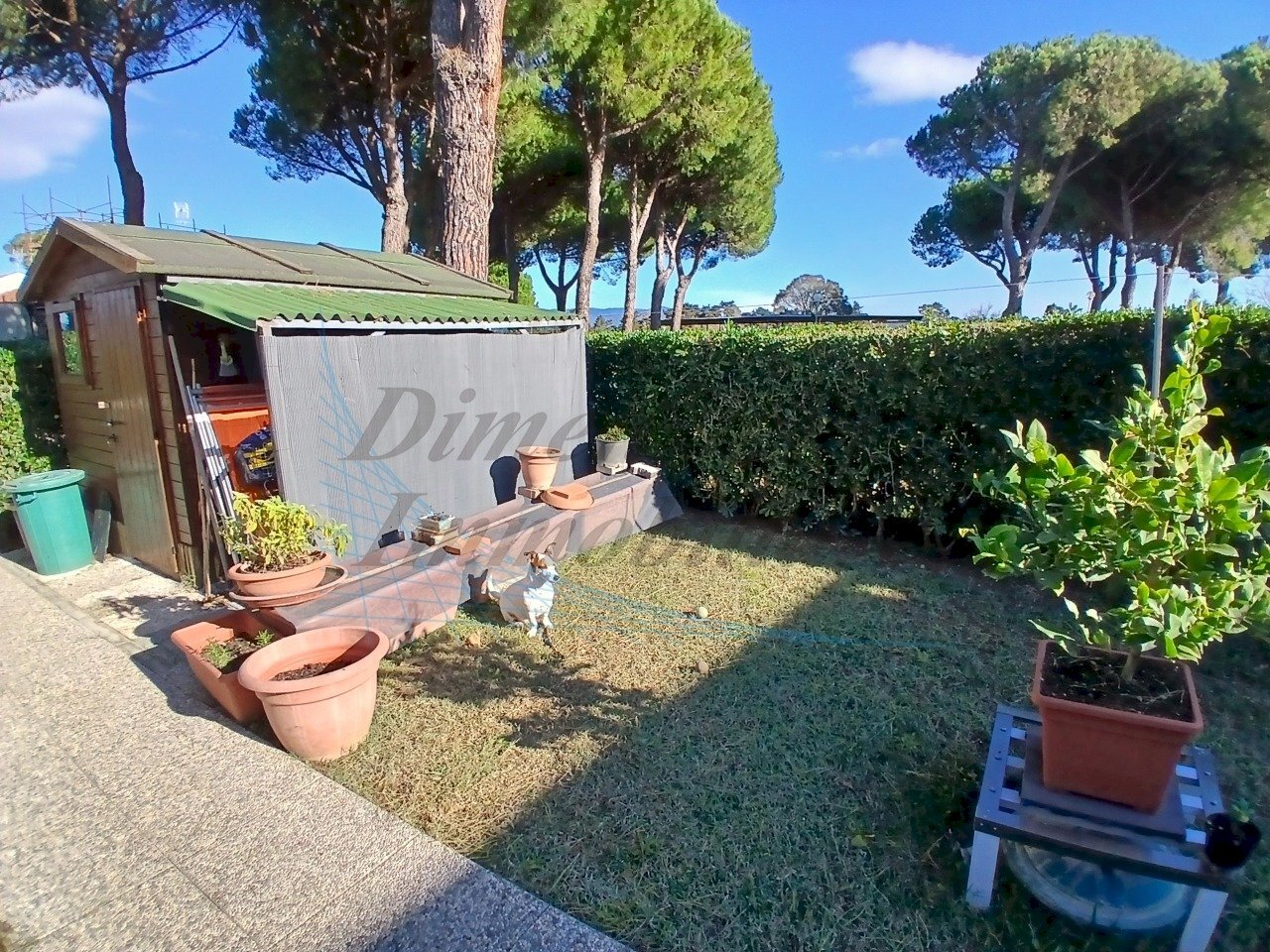 Giardino..jpg - Bilocale Rosignano Marittimo - foto 2