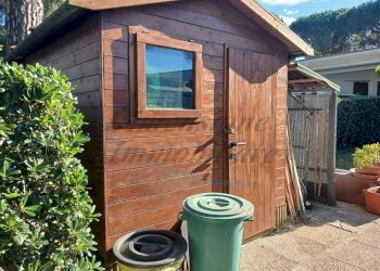 Giardino.jpg - Bilocale Rosignano Marittimo - foto 3