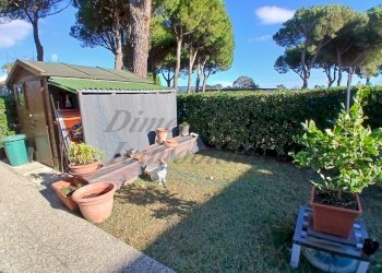 Giardino..jpg - Bilocale Rosignano Marittimo - foto 2