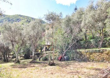 (83).jpg - Villa Via Franco Molfino 128, Camogli - foto 12