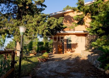 casa ulivo - Porzione di casa Via Costa degli Ulivi, Monte Argentario - foto 2