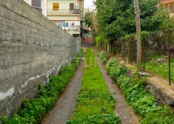 Terreno Cerza (5).jpg - Terreno agricolo Via Cerza 35, San Gregorio di Catania - foto 5