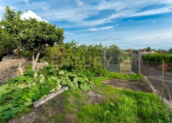 Terreno Cerza (7).jpg - Terreno agricolo Via Cerza 35, San Gregorio di Catania - foto 7