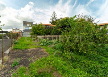 Terreno Cerza (8).jpg - Terreno agricolo Via Cerza 35, San Gregorio di Catania - foto 8