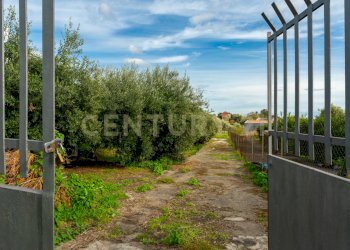 Terreno Cerza (9).jpg - Terreno agricolo Via Cerza 35, San Gregorio di Catania - foto 9