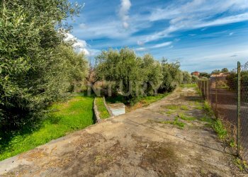 Terreno Cerza (10).jpg - Terreno agricolo Via Cerza 35, San Gregorio di Catania - foto 10